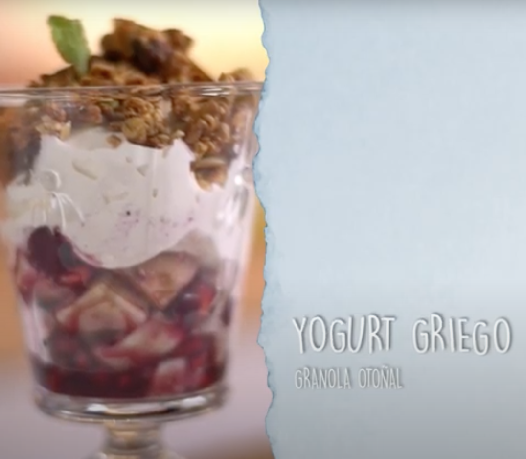 Granola, yogurt griego casero y arándanos